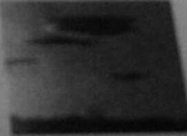 024.jpg 024.jpg